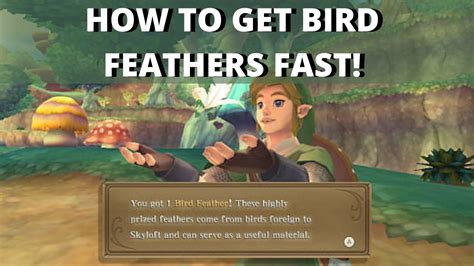 He is a friend and henchman to Link's personal rival, Groose. . Bird feather skyward sword
